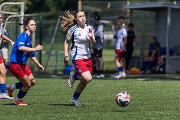 Bild 295 - wCJ Hamburger SV - FC Rosengarten : Ergebnis: 1:1